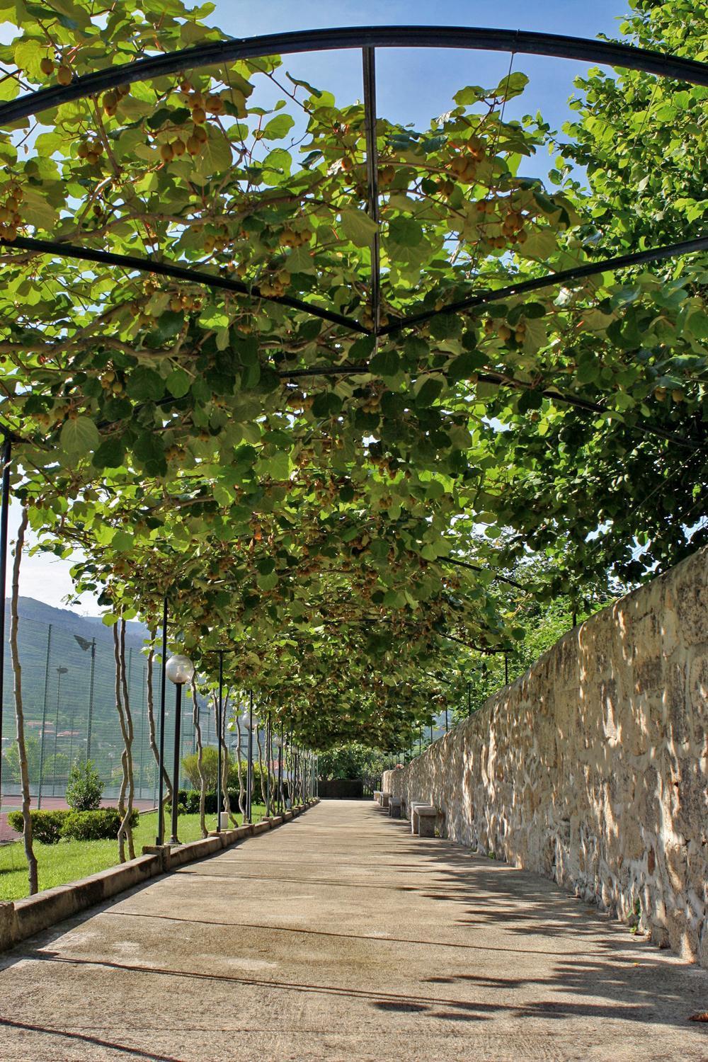 Hotel Boavista I Melgaço Esterno foto
